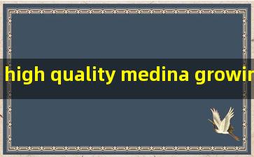 high quality medina growin green organic fertilizer